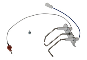 Electrode (ontsteek en bewaking)