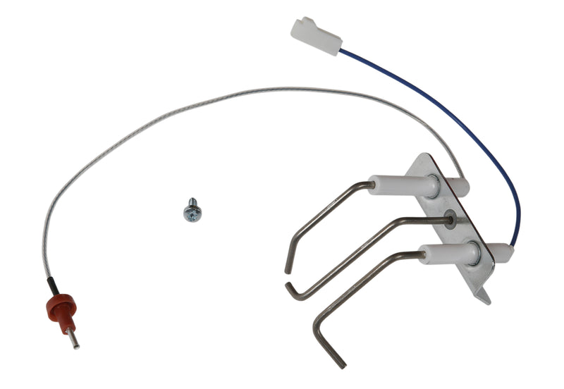 Electrode (ontsteek en bewaking)