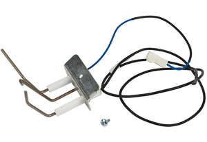 Electrode (ontsteek en bewaking)