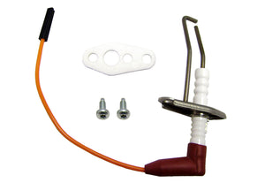 Electrode (ontsteek en bewaking)