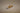 Aansluitnippel ww 15 mm
