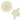 COG-ACT-CA-Z_25-2PC