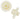 COG-ACT-CA-Z_25-2PC