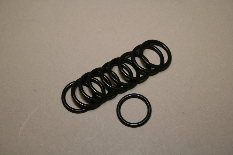 O-ring (10 x)