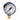 Manometer FR 200 M1-ABS DN63 Radiaal 0-10 bar M 1/4" Watts