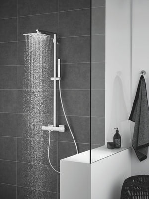 Euphoria Cube Stick Handdouche 1 straalsoort