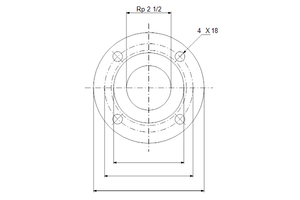 Flens draadaansl CR16 DN50 PN16 RP 21/2"