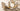 Dubbele muurplaat binnendraad,Inbouw 16x1/2"x16x1/2"