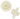 COG-ACT-CA-Z_25-2PC