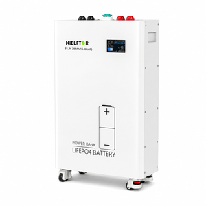 NIELFTOR 51.2V 300Ah LiFePO4 Thuisbatterij voor Solar RV 15,36 kW Energieopslag