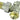 R808 3/8 THERMOSTAATKR HAAKS