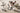Knie 90° binnendraad 32x1"