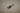 O-ring 19x3 (5x)