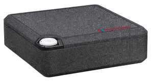 Modesto Q10