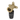 TECElogo-Push muurplaat, standaard messing, afmeting 20 x 1/2"
