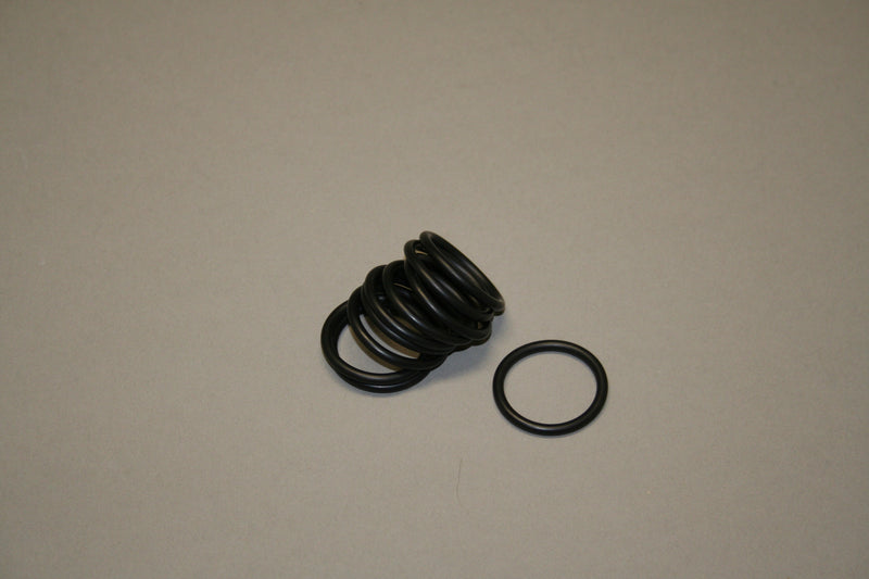 O-ring (10x)