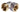 3/4" EURO-CONE x  3/4"F - KNIE