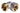 3/4" EURO-CONE x  3/4"F - KNIE